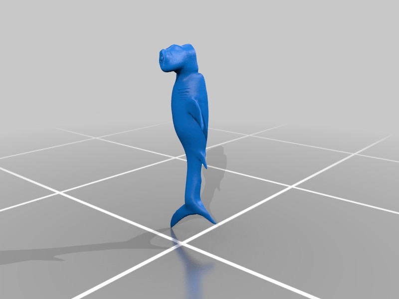 Hammerhead Shark