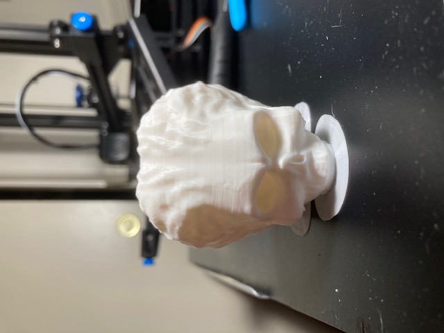 Martian Skull