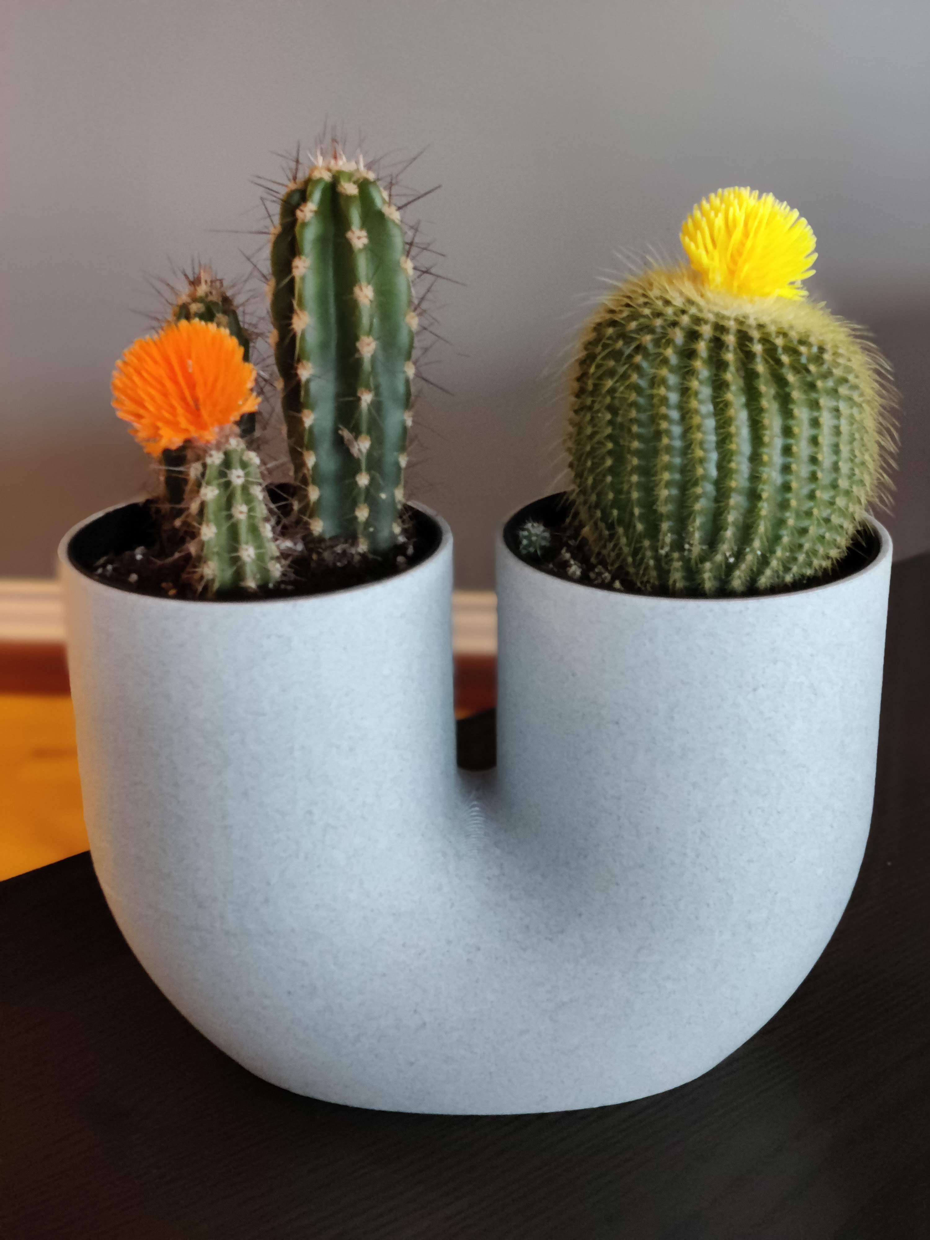 U Vase