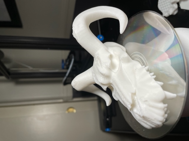 Dragon Skull