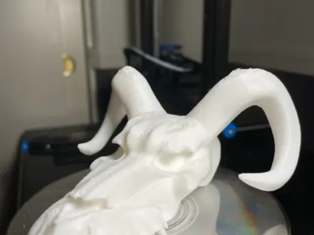 Dragon Skull