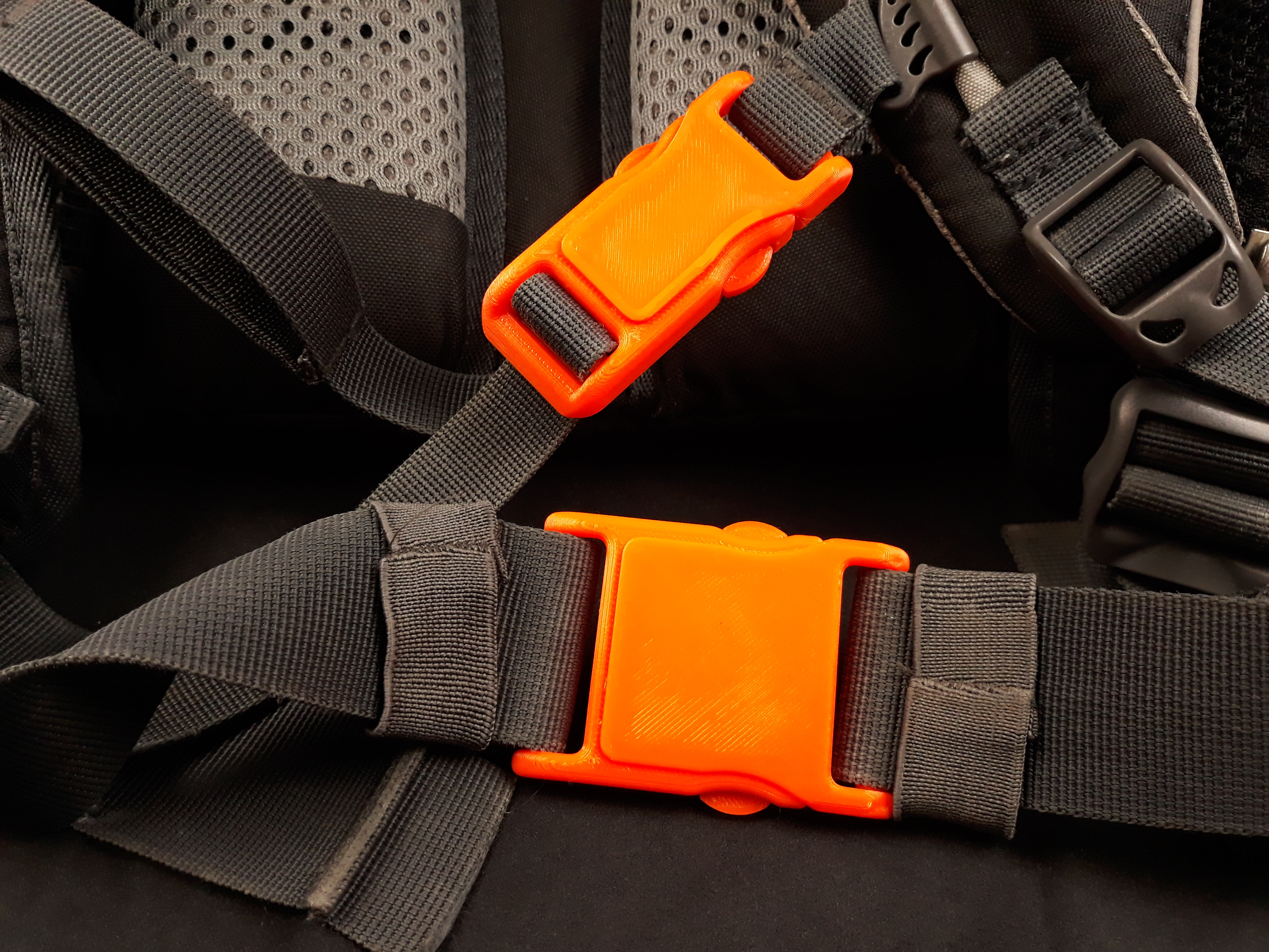 Robust BUCKLES — miniatura 4