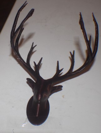 Deer Trophy Head