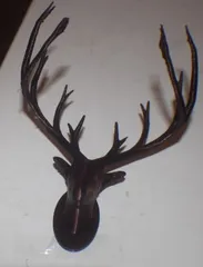 Deer Trophy Head