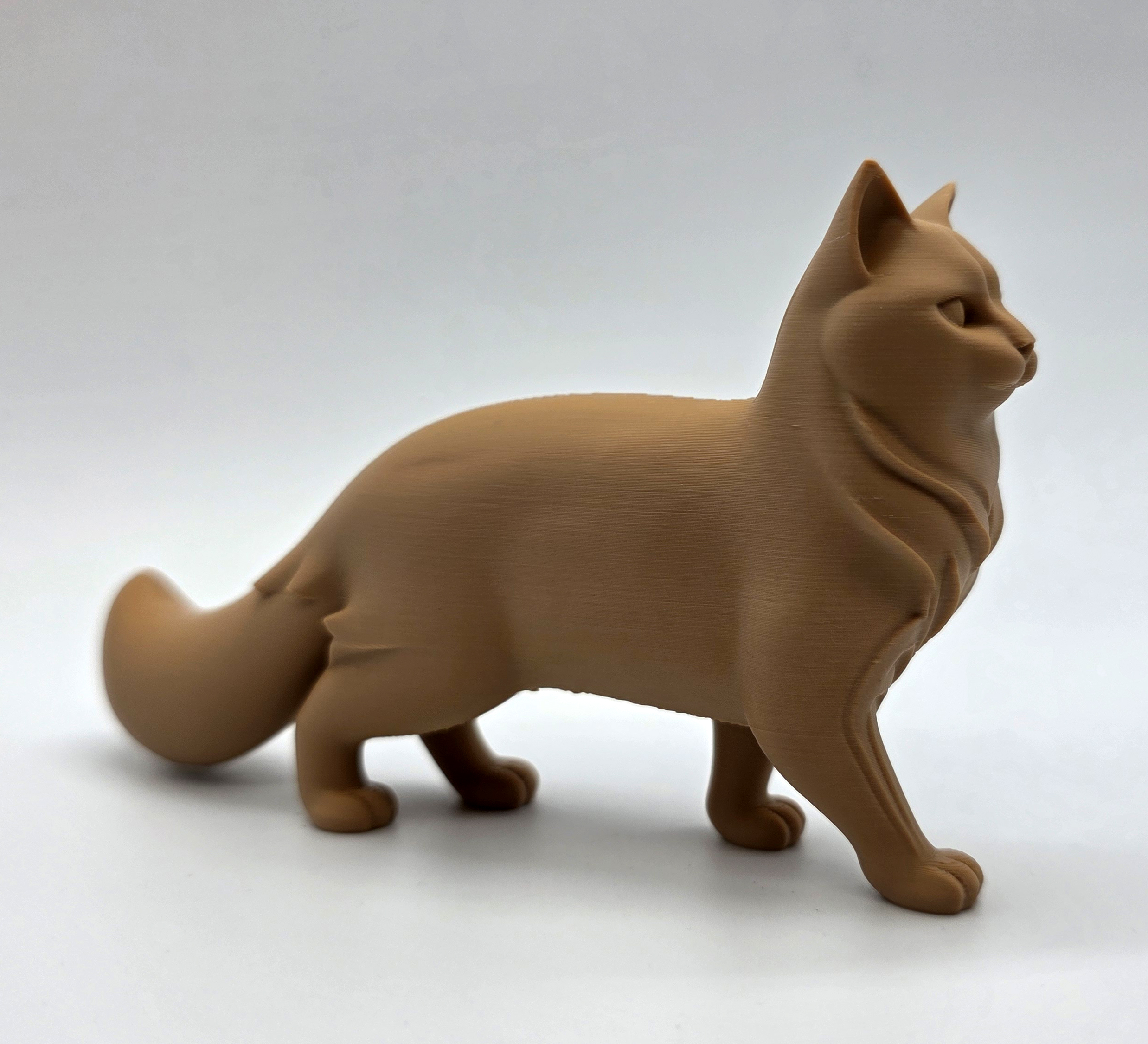 Walking Cat Fluffy Tail — thumbnail 4