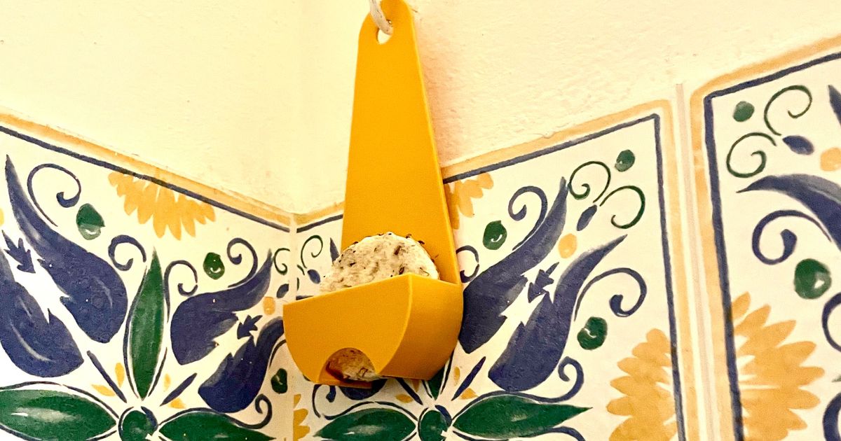 Lush shampoo bars holder by albeminimi Download free STL model