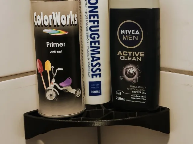 Voronoi Shower shelf