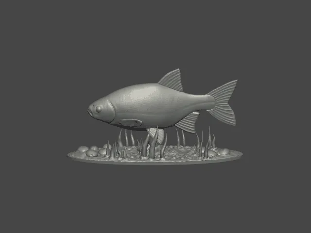 Common Rudd Statue with Base