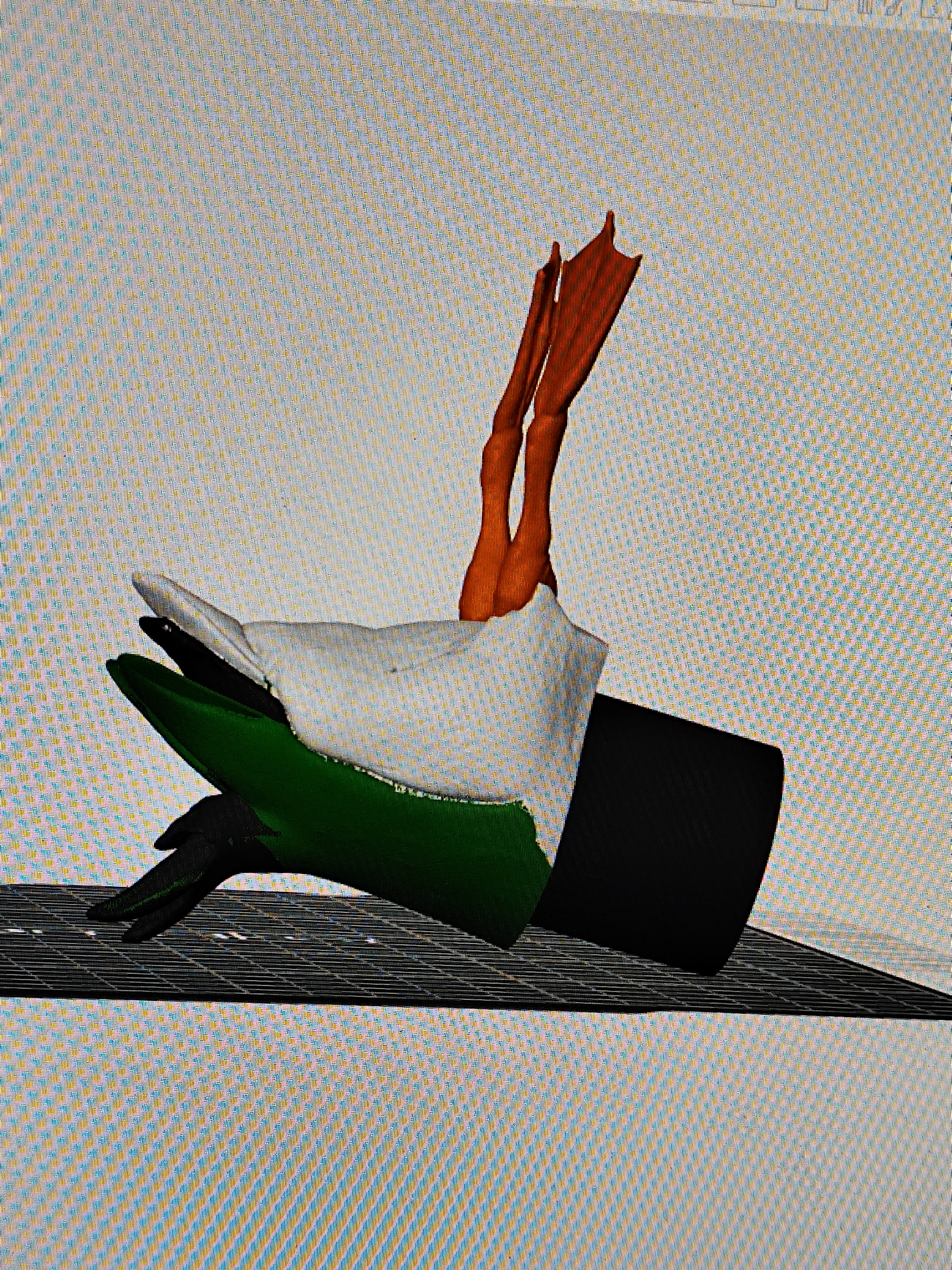 duck toilet roll enhancer