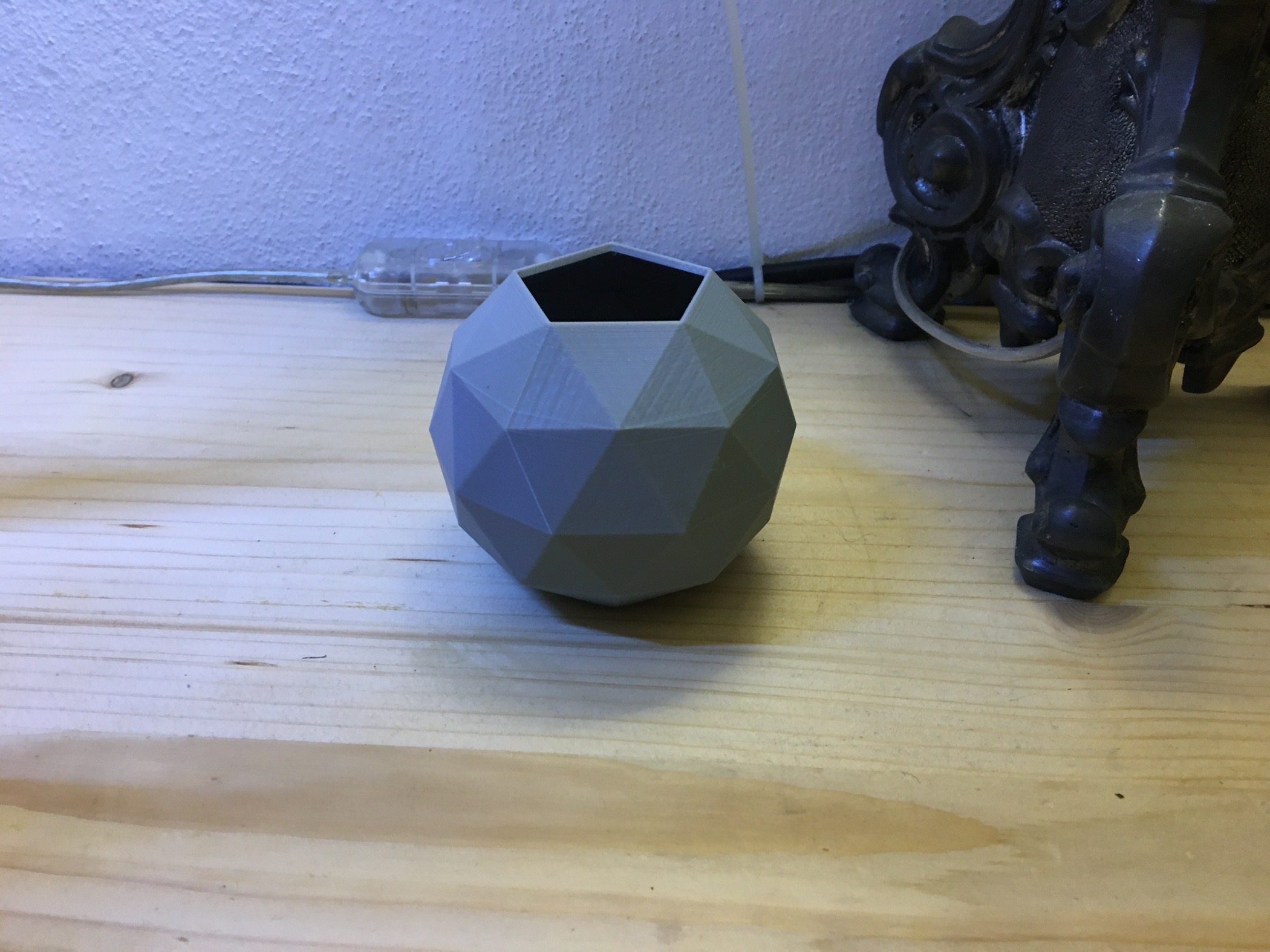 plants vase
