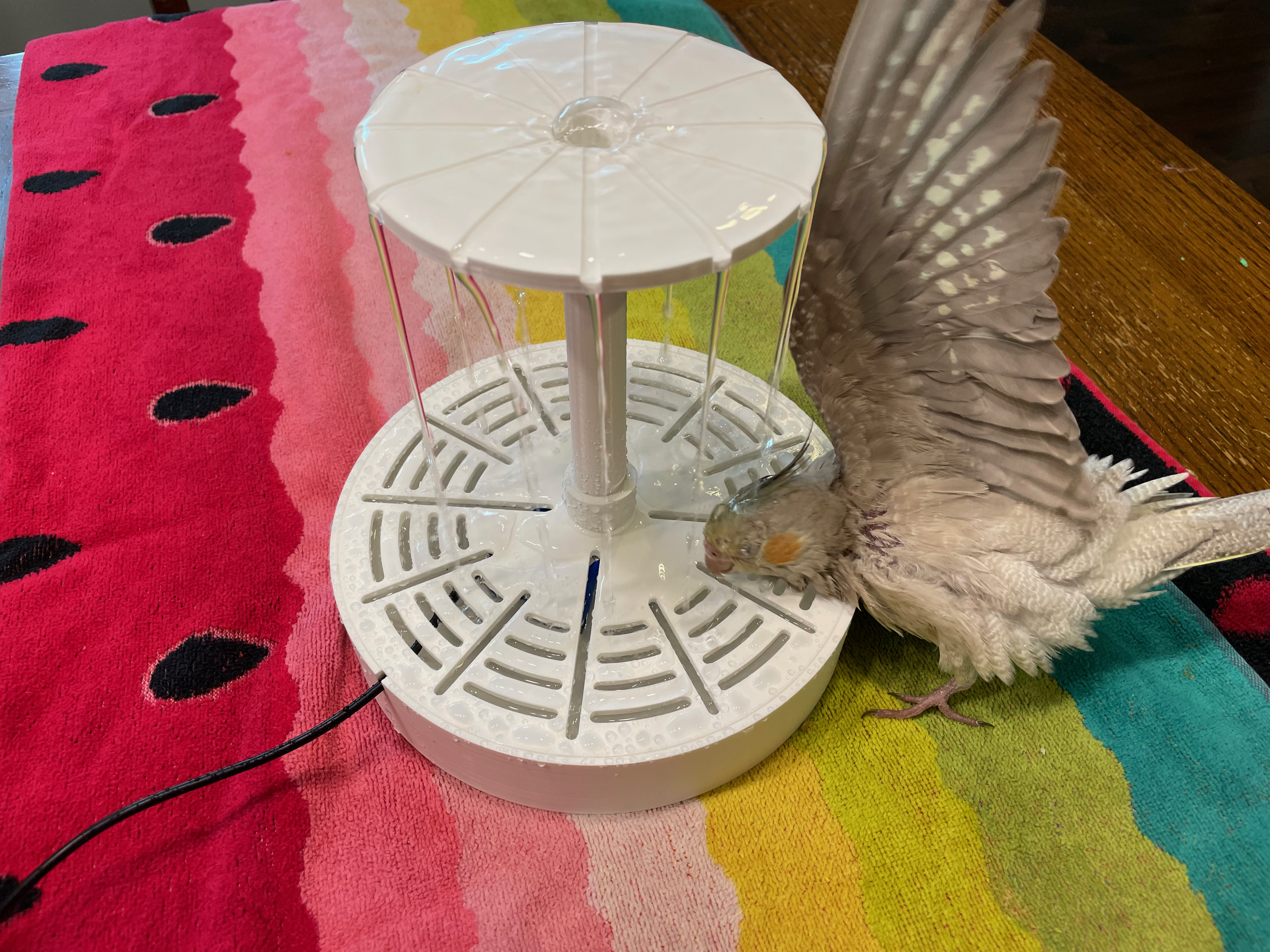 Pet bird fountain best sale