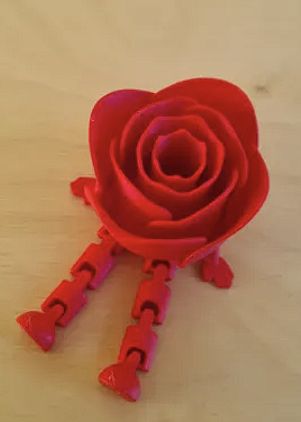 Ruza (Rose)