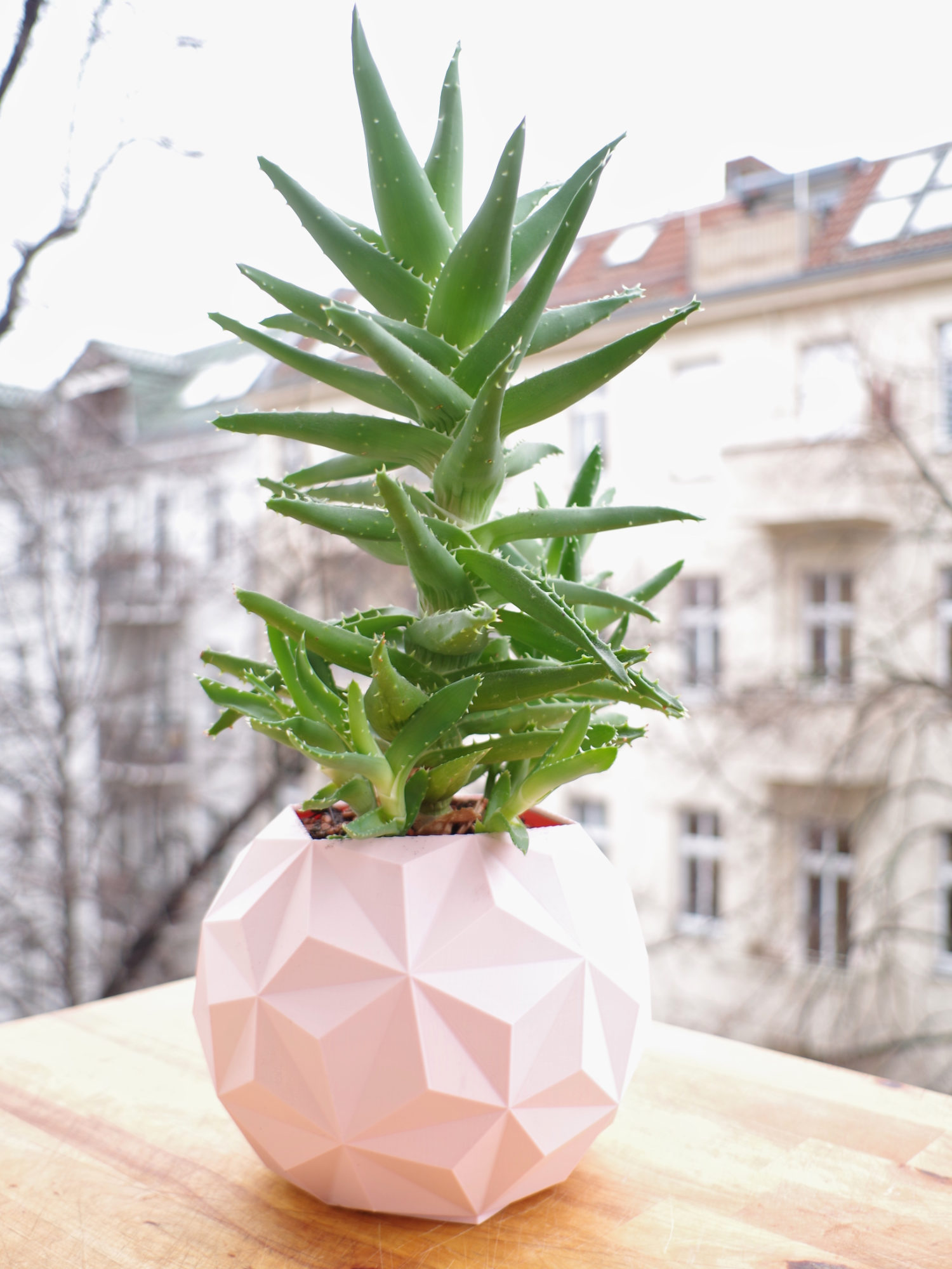 Geodesic planter — miniatura 4