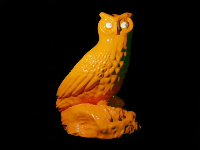 Watching owl