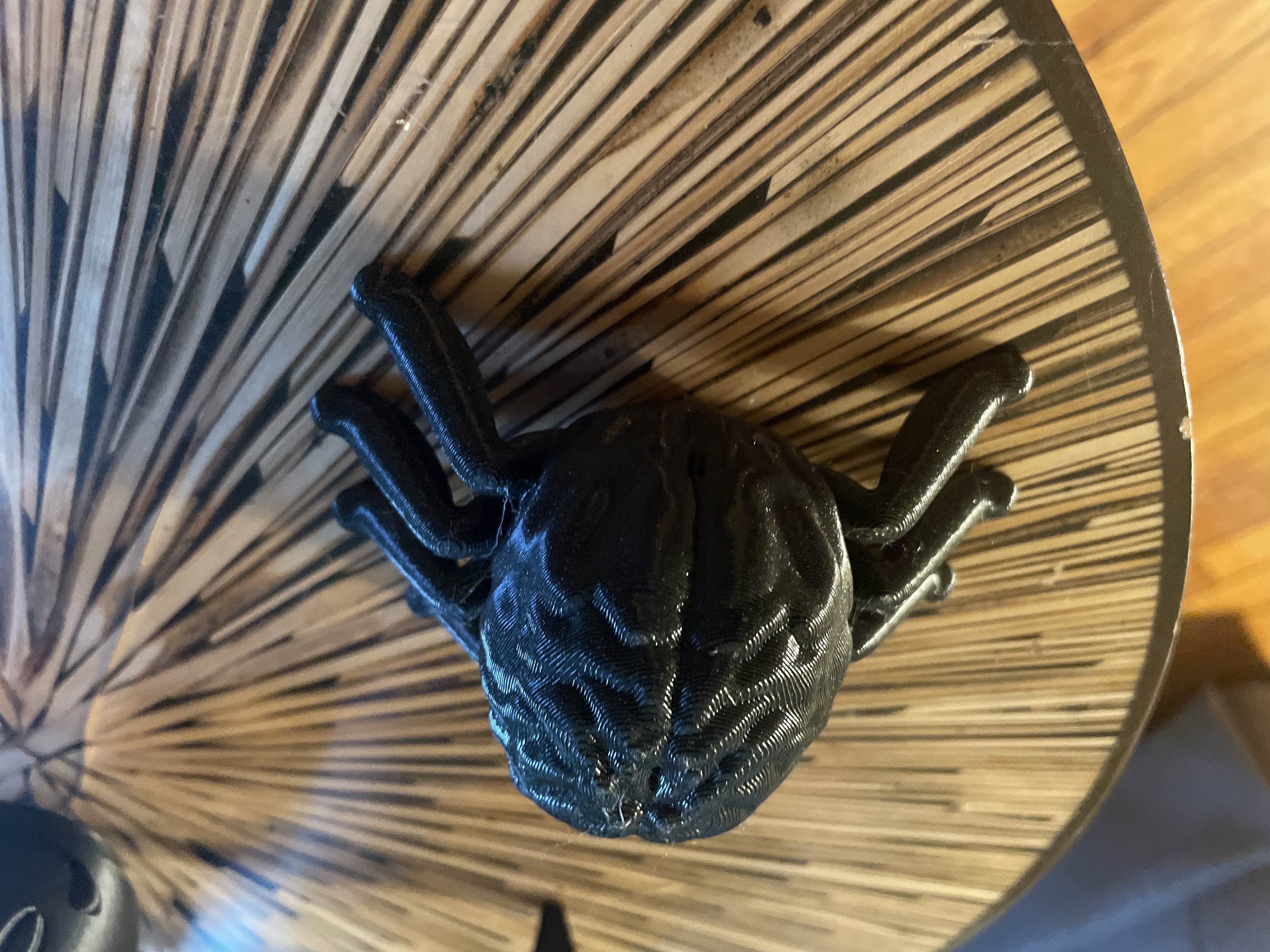 Brain Spider