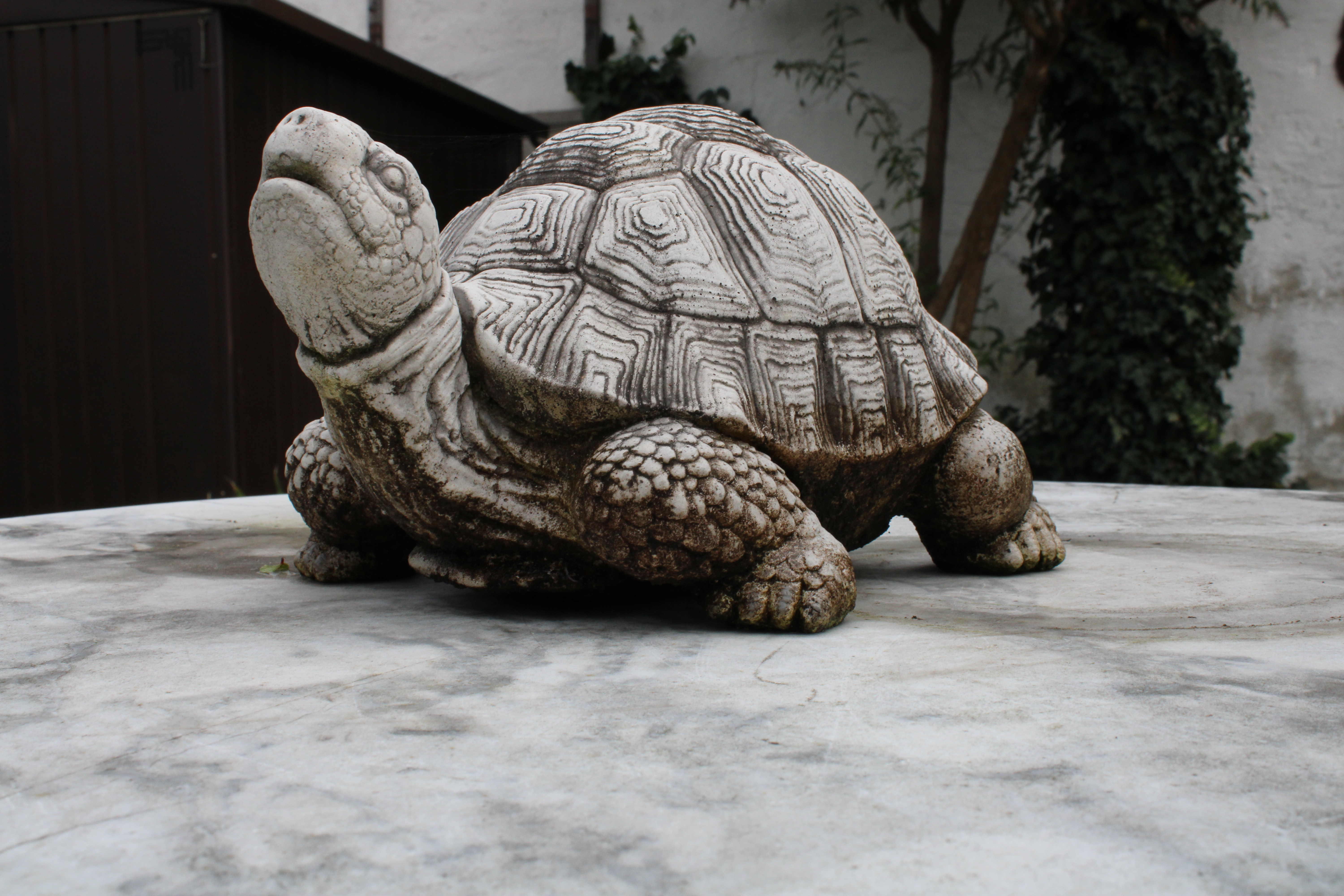 Miniatura 3 do modelo 3D Turtle figurine