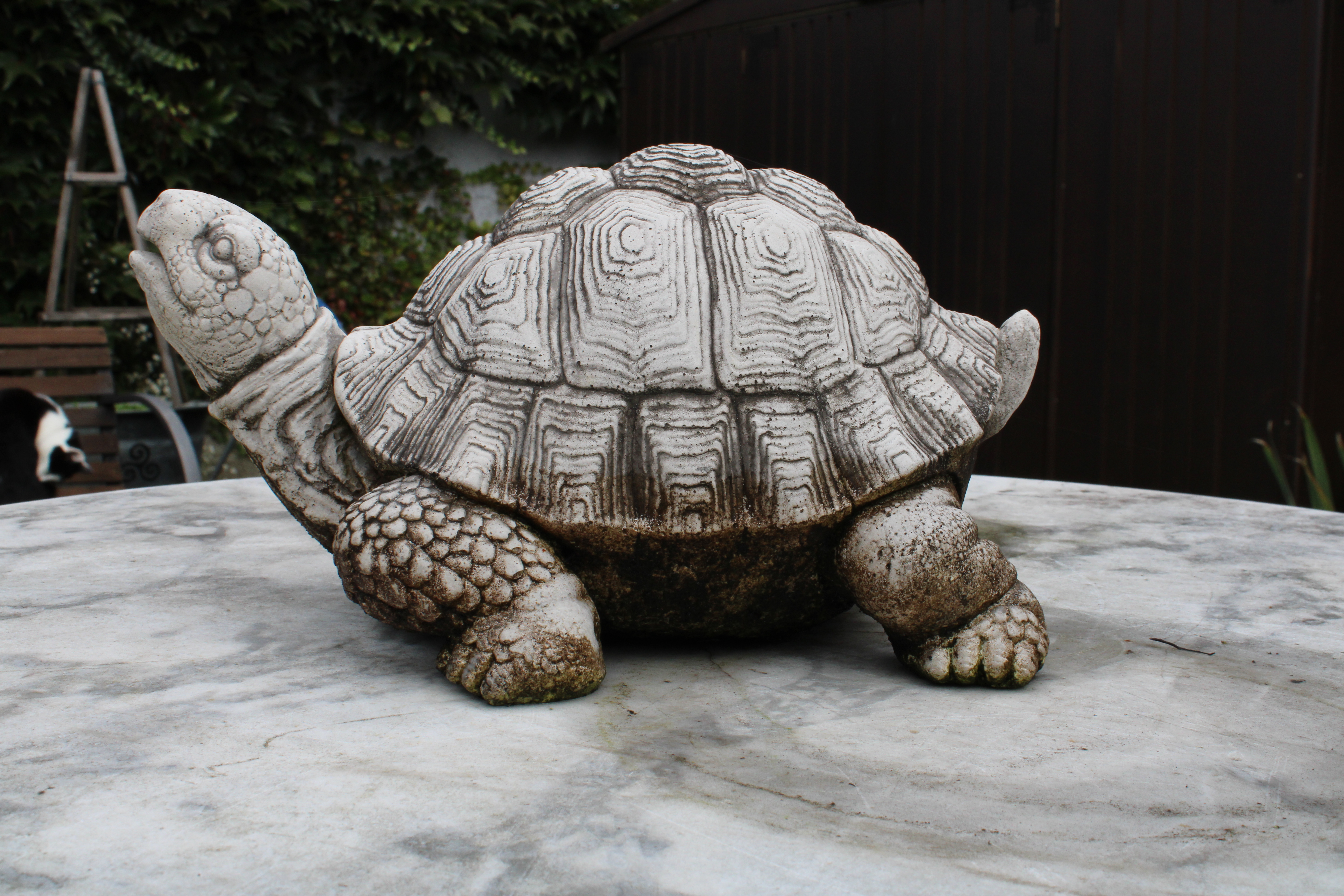 Miniatura 5 do modelo 3D Turtle figurine