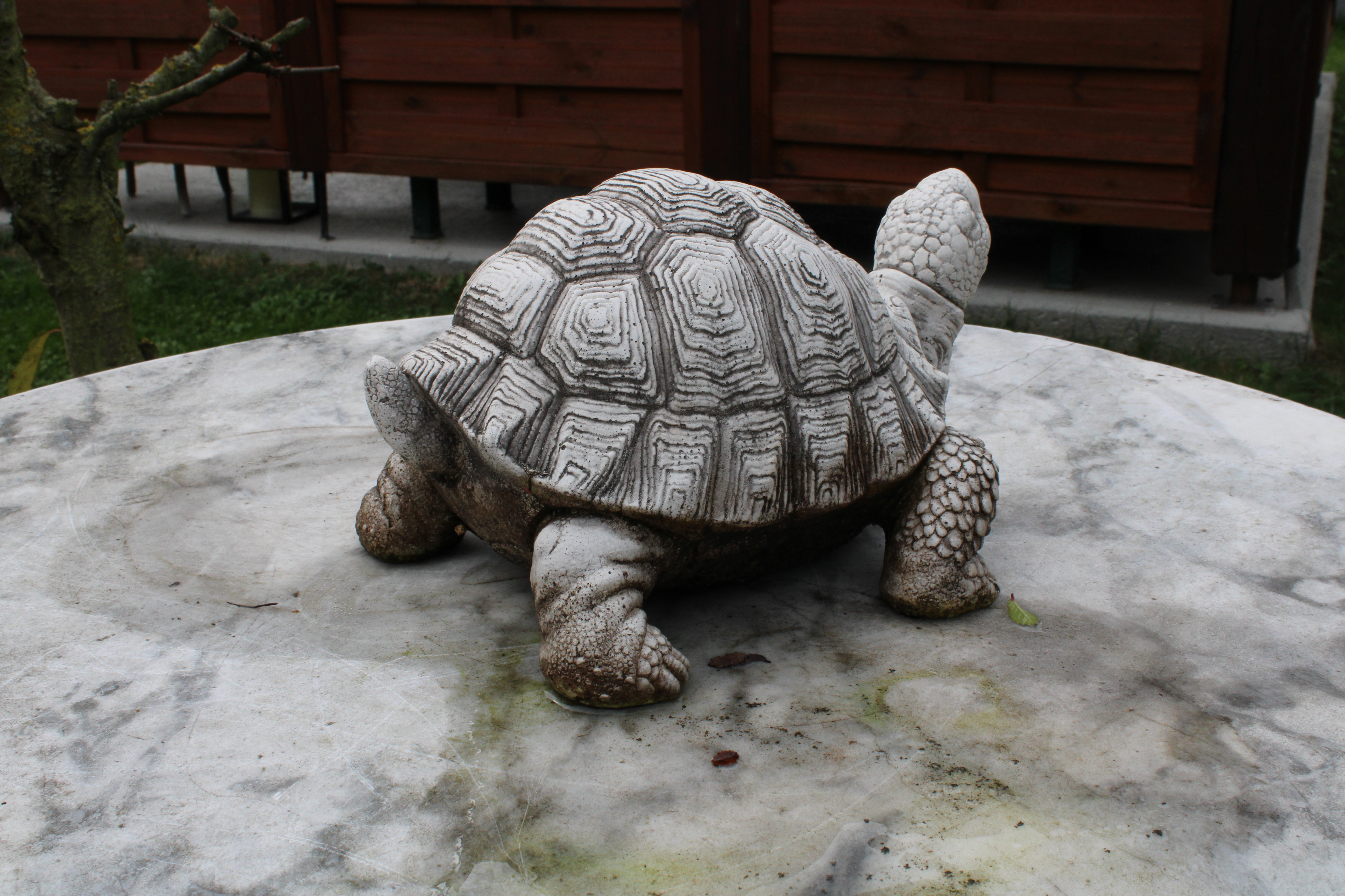 Miniatura 4 do modelo 3D Turtle figurine