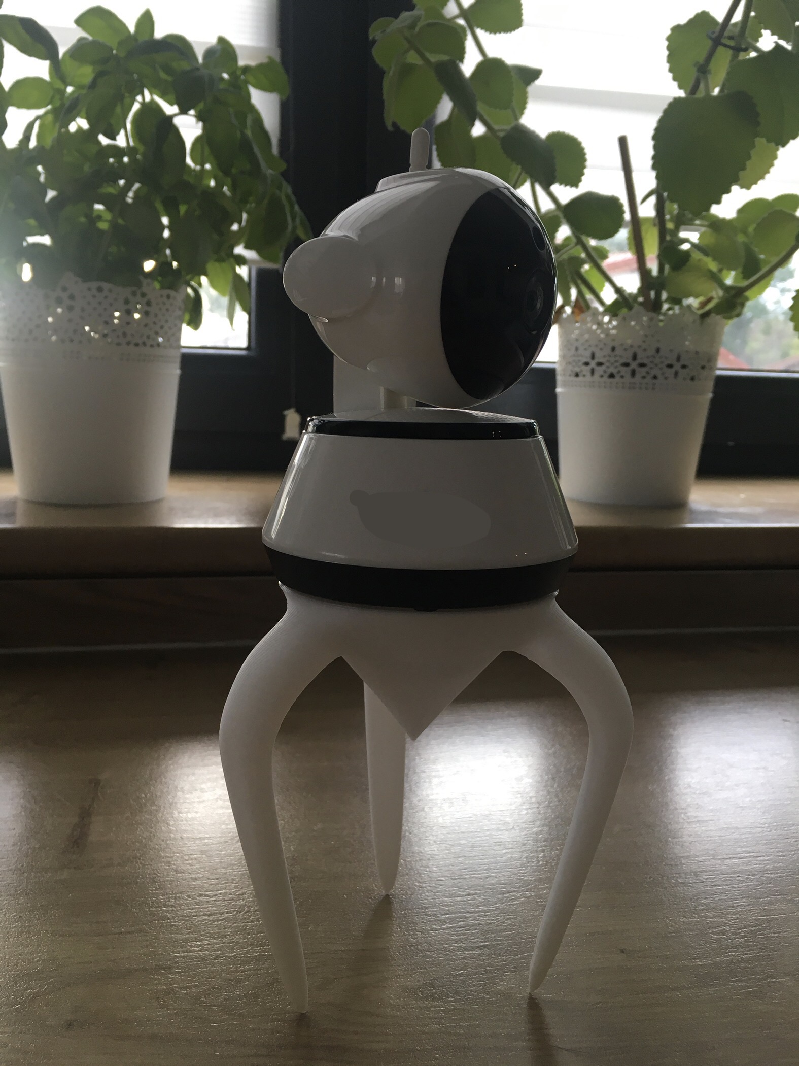 Camera stand