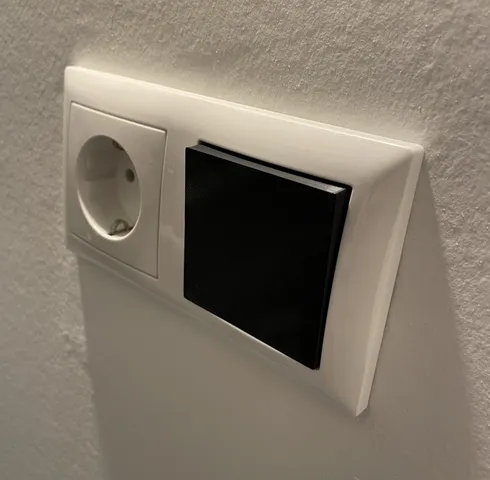 Light switch (Busch-Jaeger)