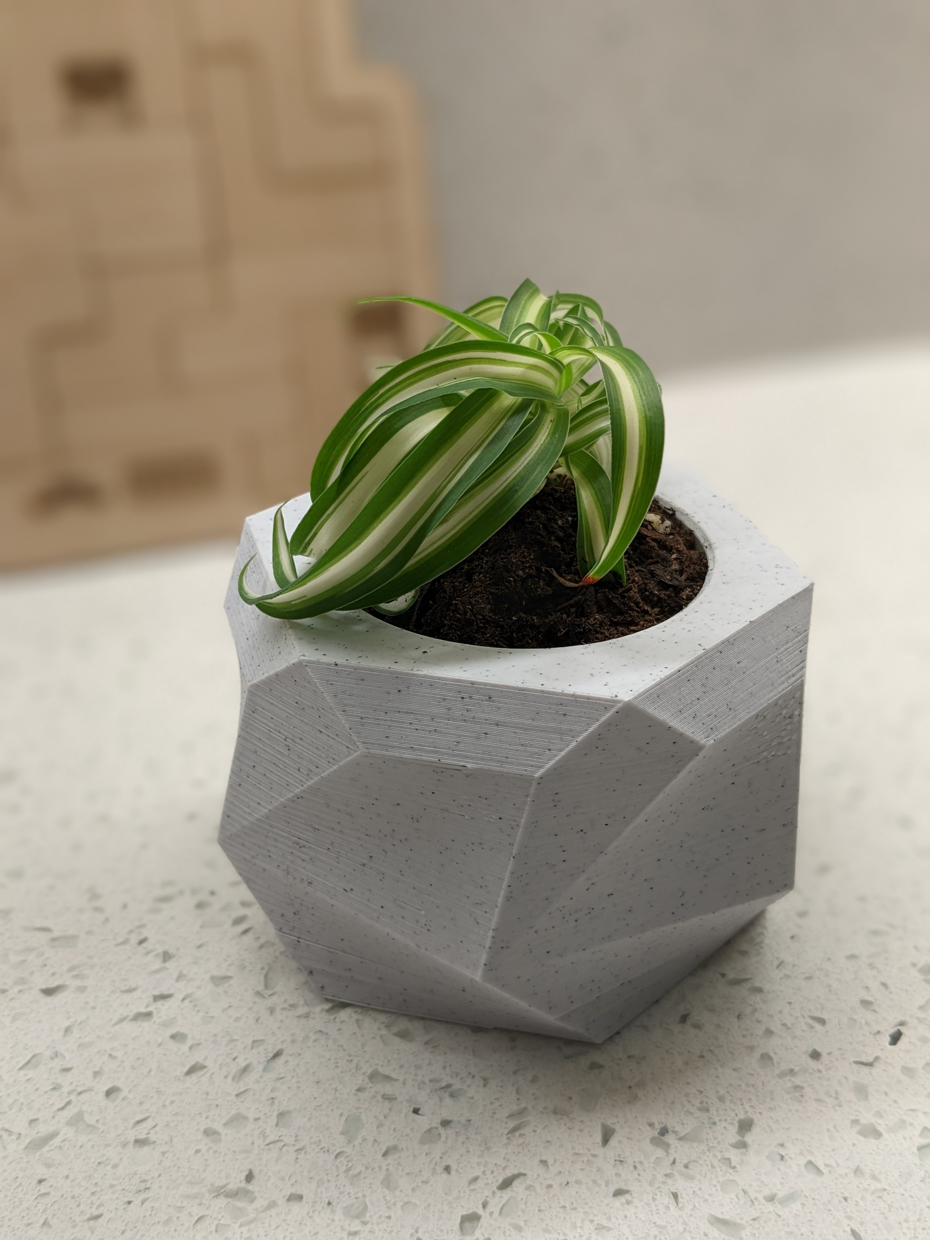 Blocky Planter #3 with drainage hole
