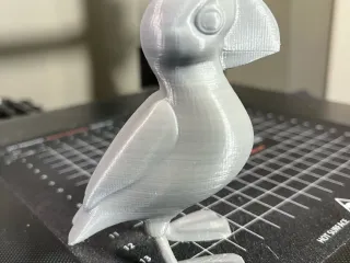 Cute Puffin