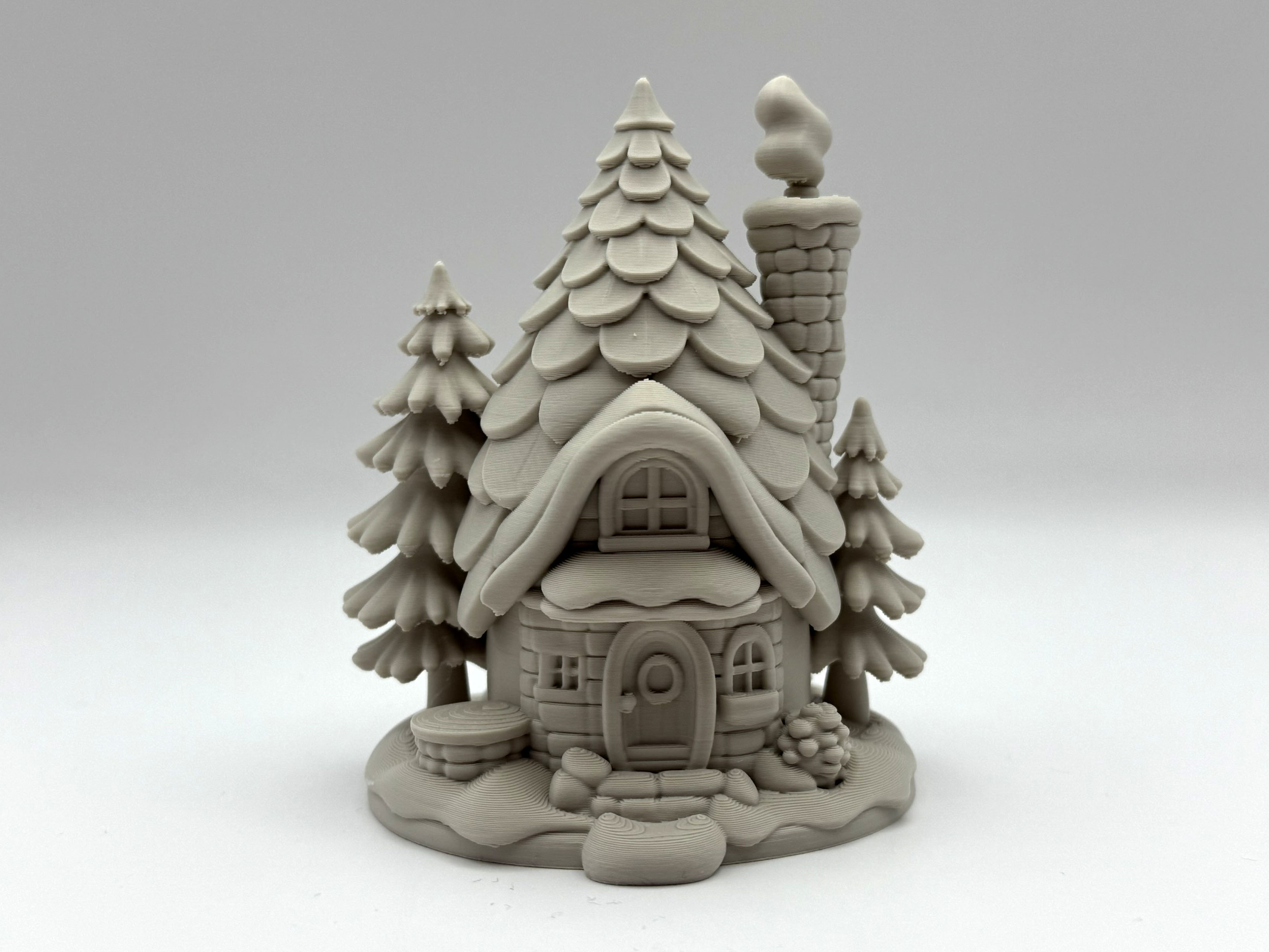 Winter Pinetree House