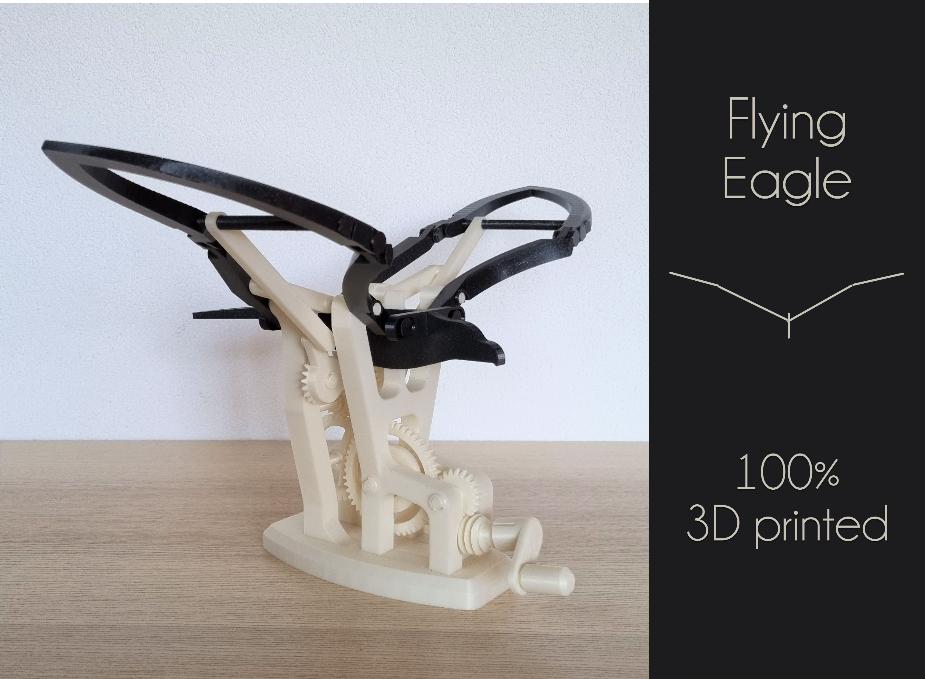 Flying Eagle Automata