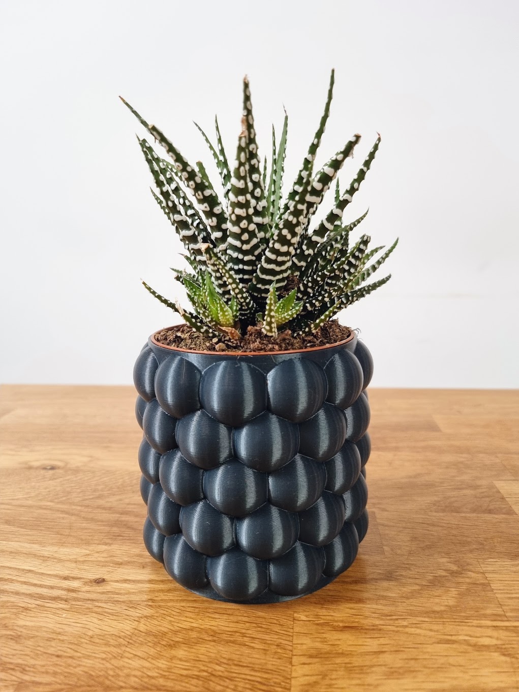 Vase version 1.0