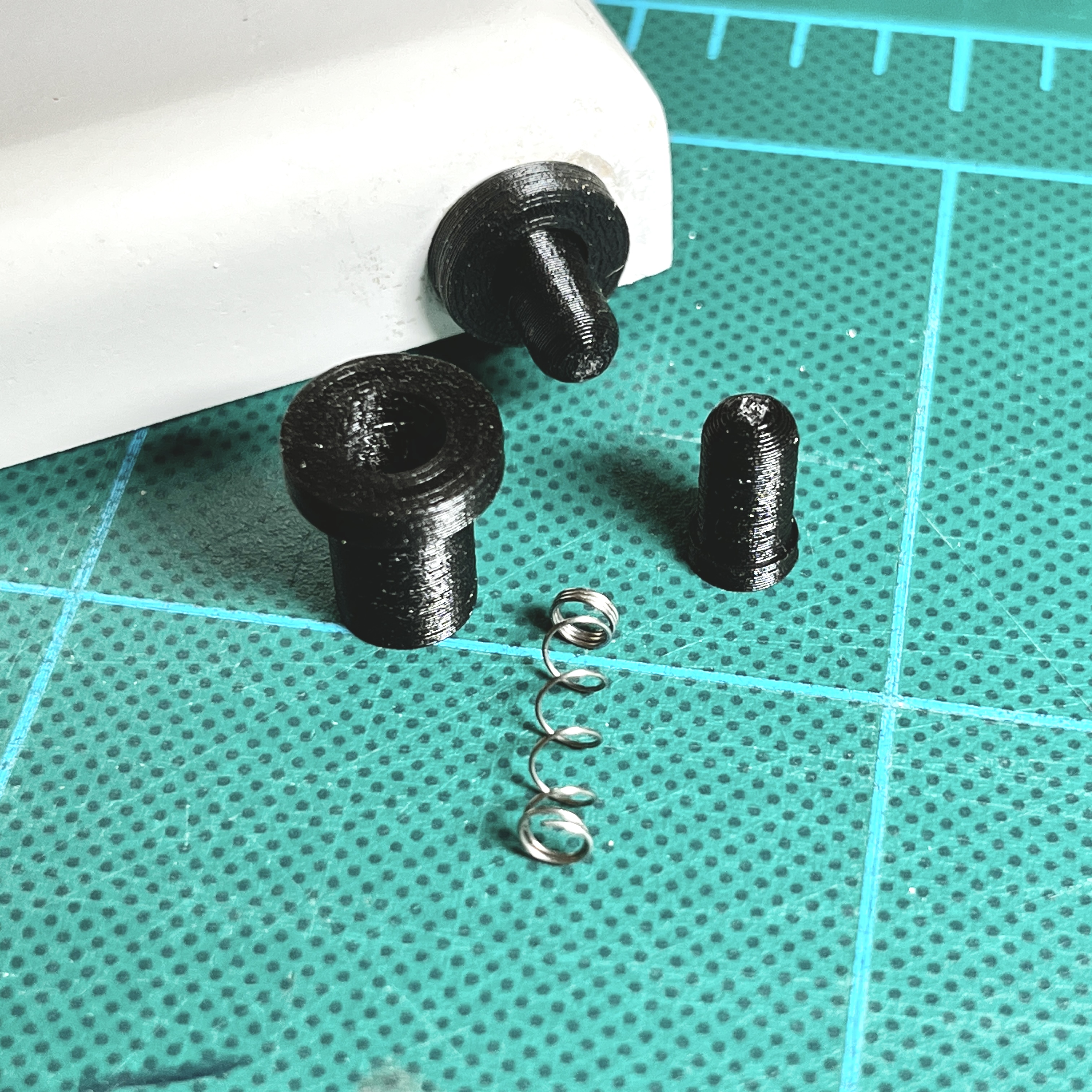 Spring Door Pin