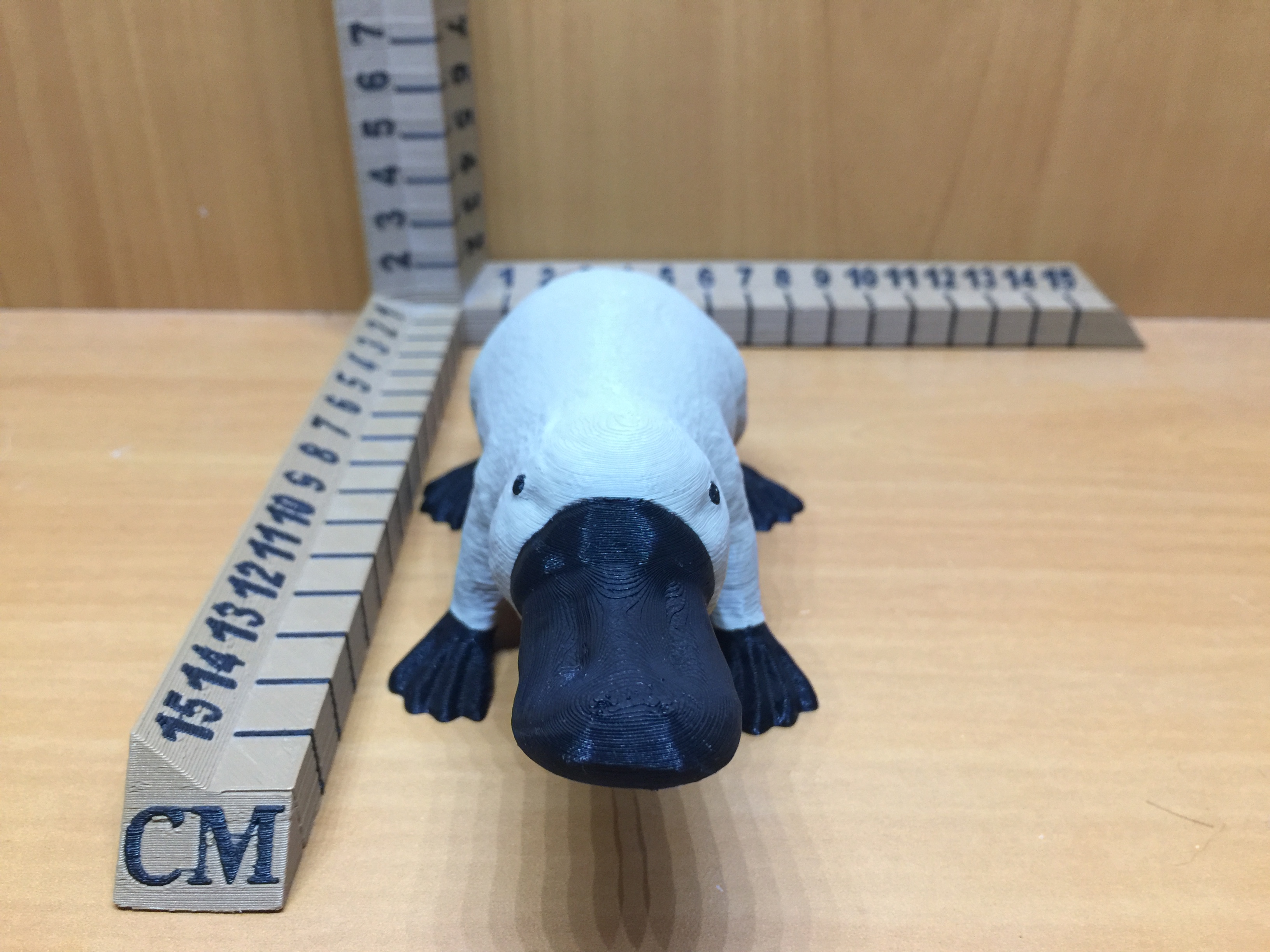 Miniatura 2 do modelo 3D Platypus