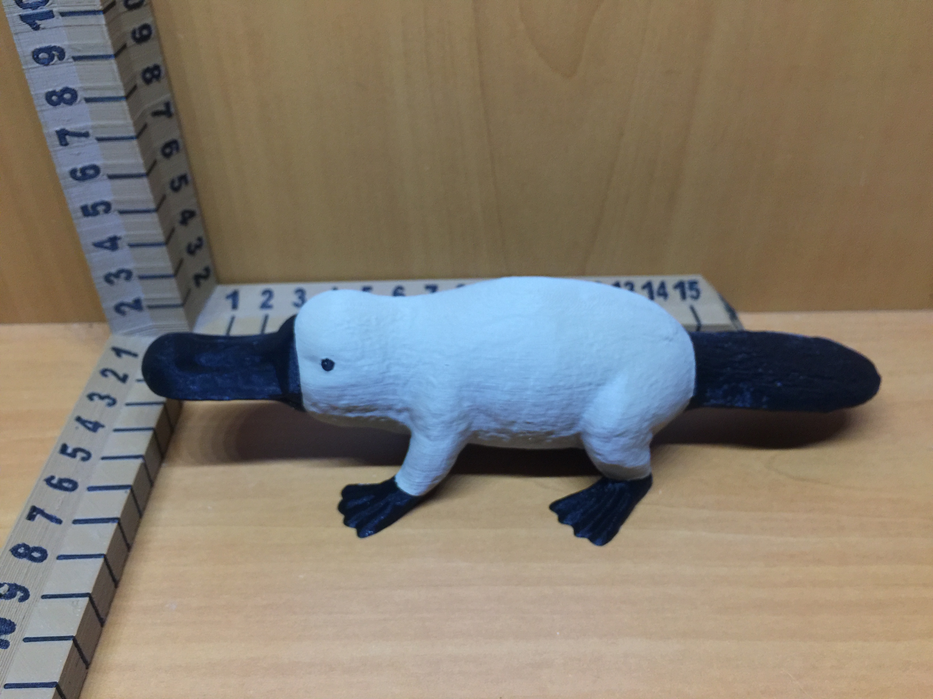 Miniatura 3 do modelo 3D Platypus