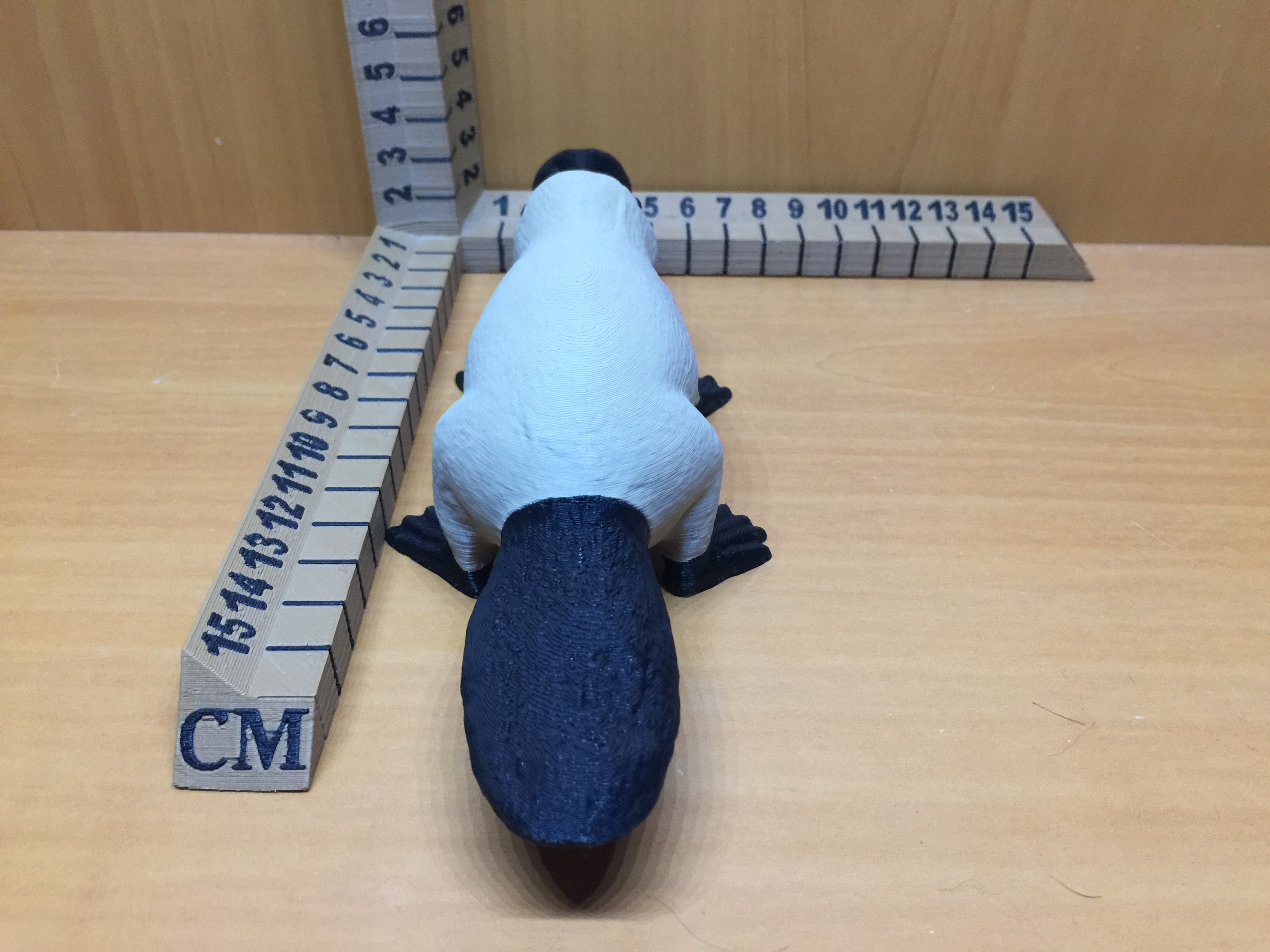 Miniatura 4 do modelo 3D Platypus