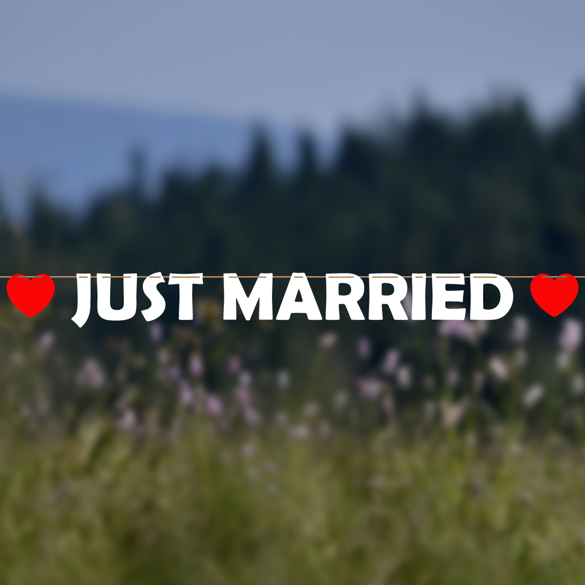The inscription JUST MARRIED
