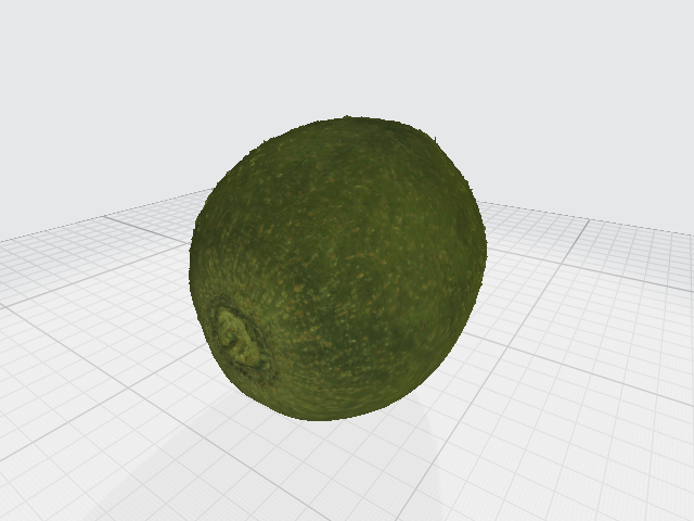 3D Kiwi