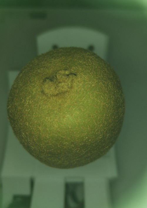 3D Kiwi — miniatura 2