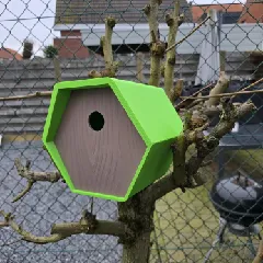 Birdhouse hexagon