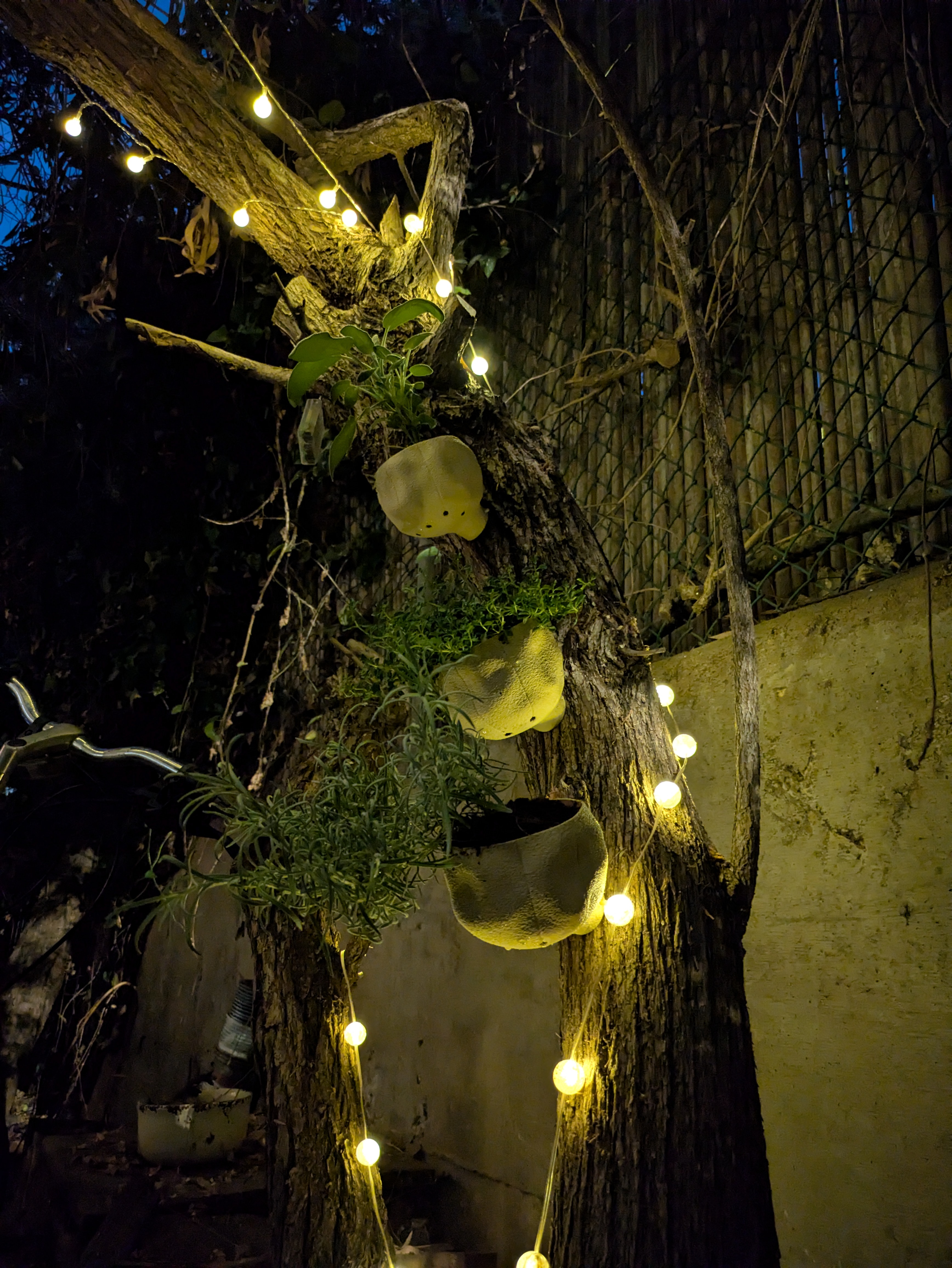 Tree Planter — thumbnail 3