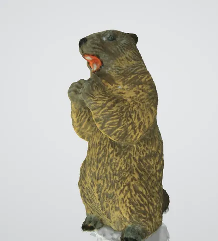 Groundhog / Murmeltier ( Openscan Mini )