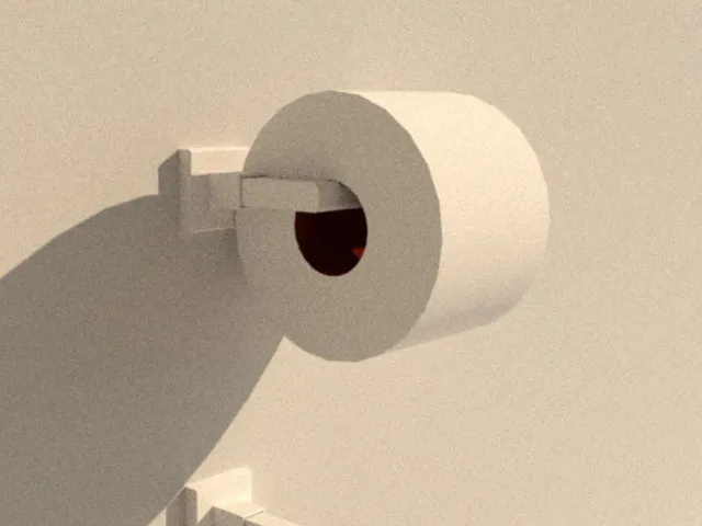 Toilet Roll Holder | No Supports