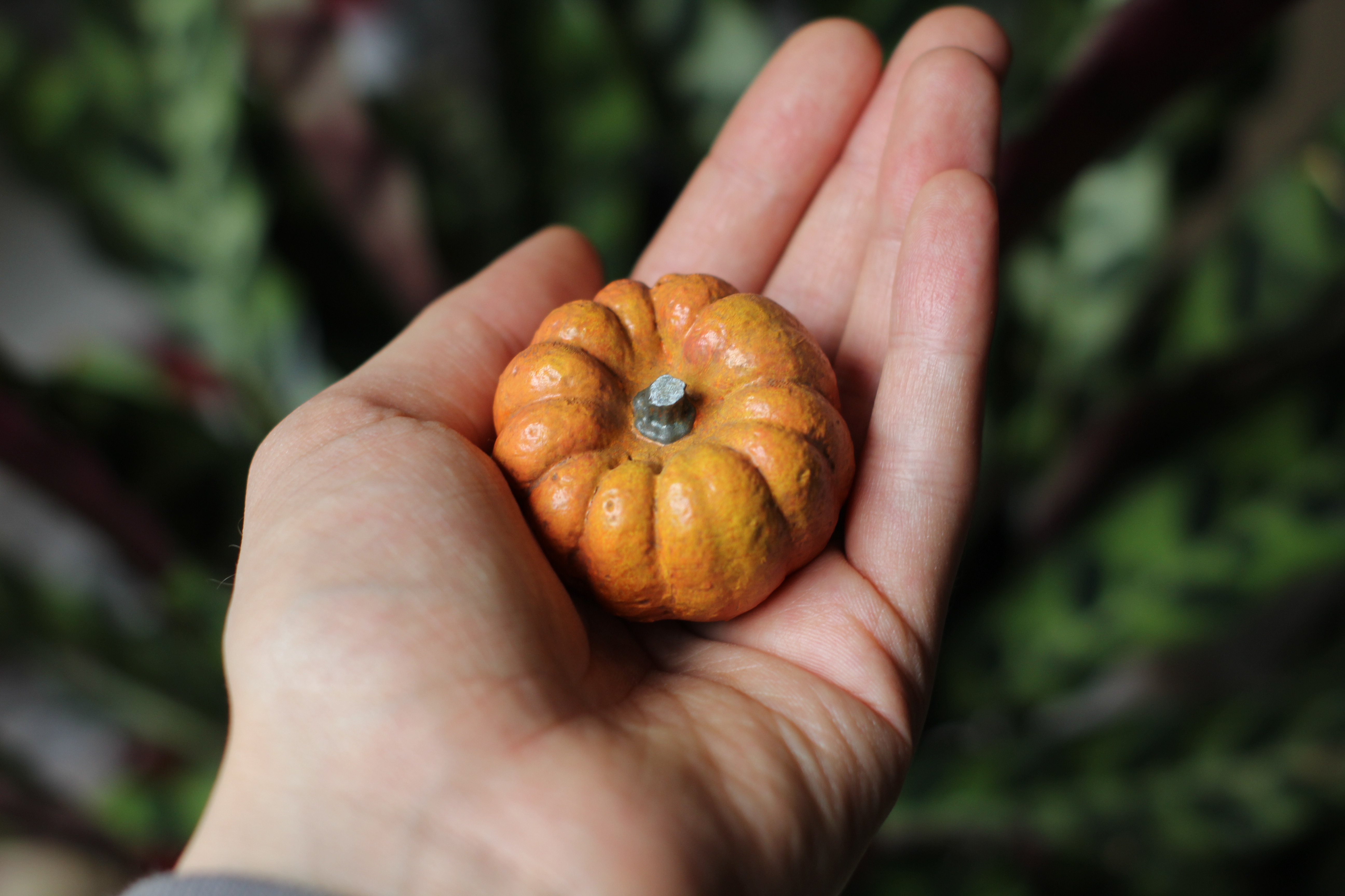 Scanned Pumpkin