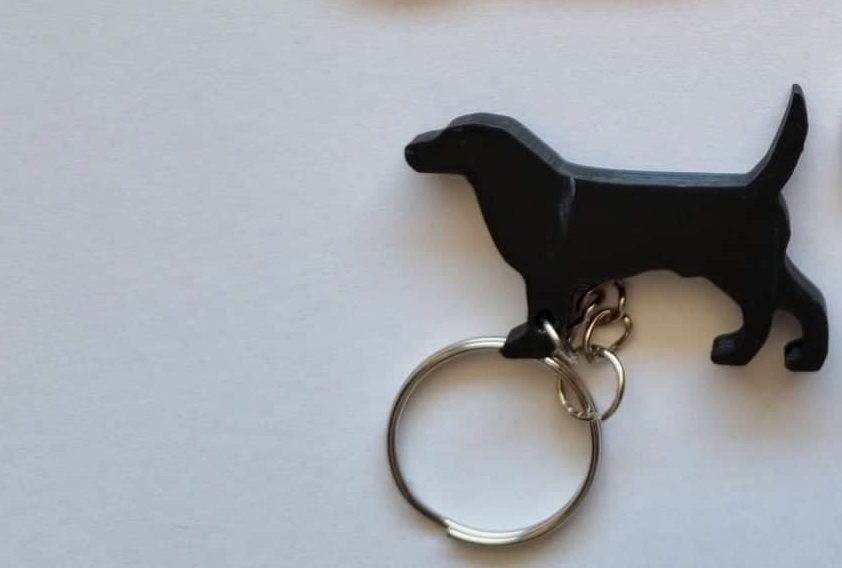 Miniatura 2 do modelo 3D Dog Keychain