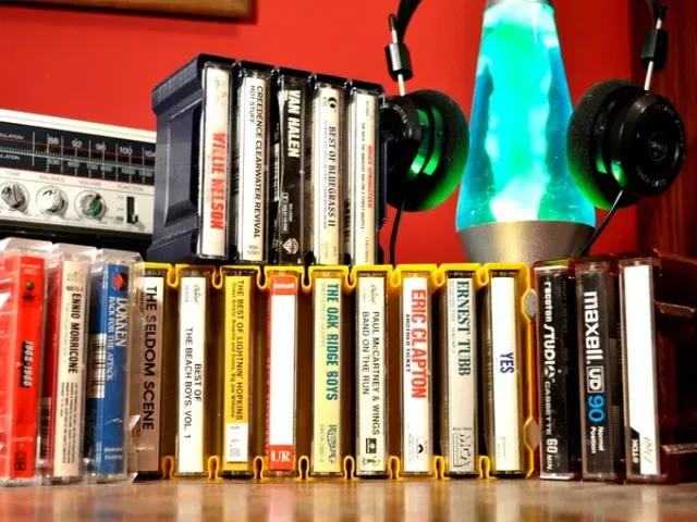 Vase Mode Cassette Organizers