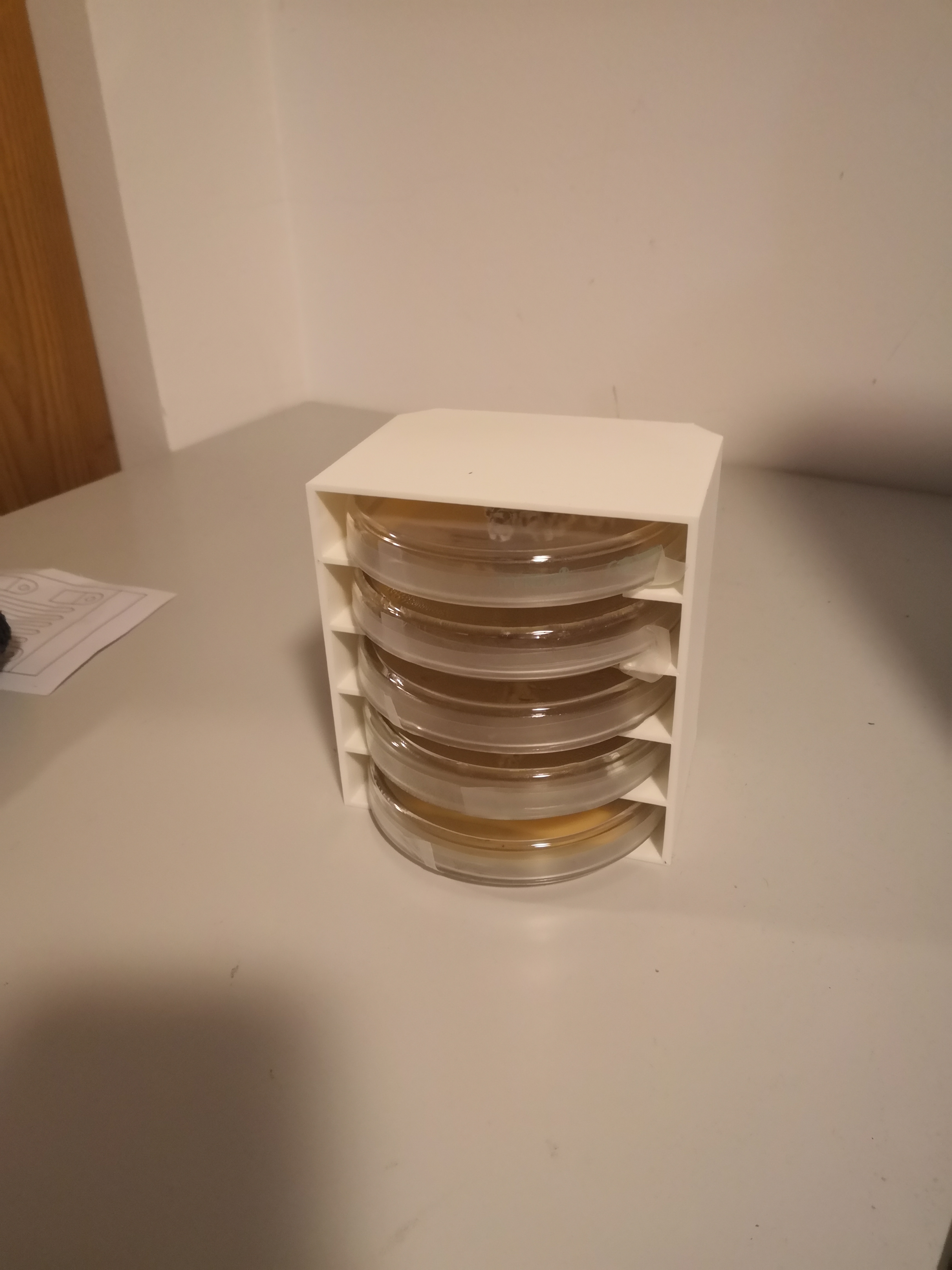 Petri dish rack