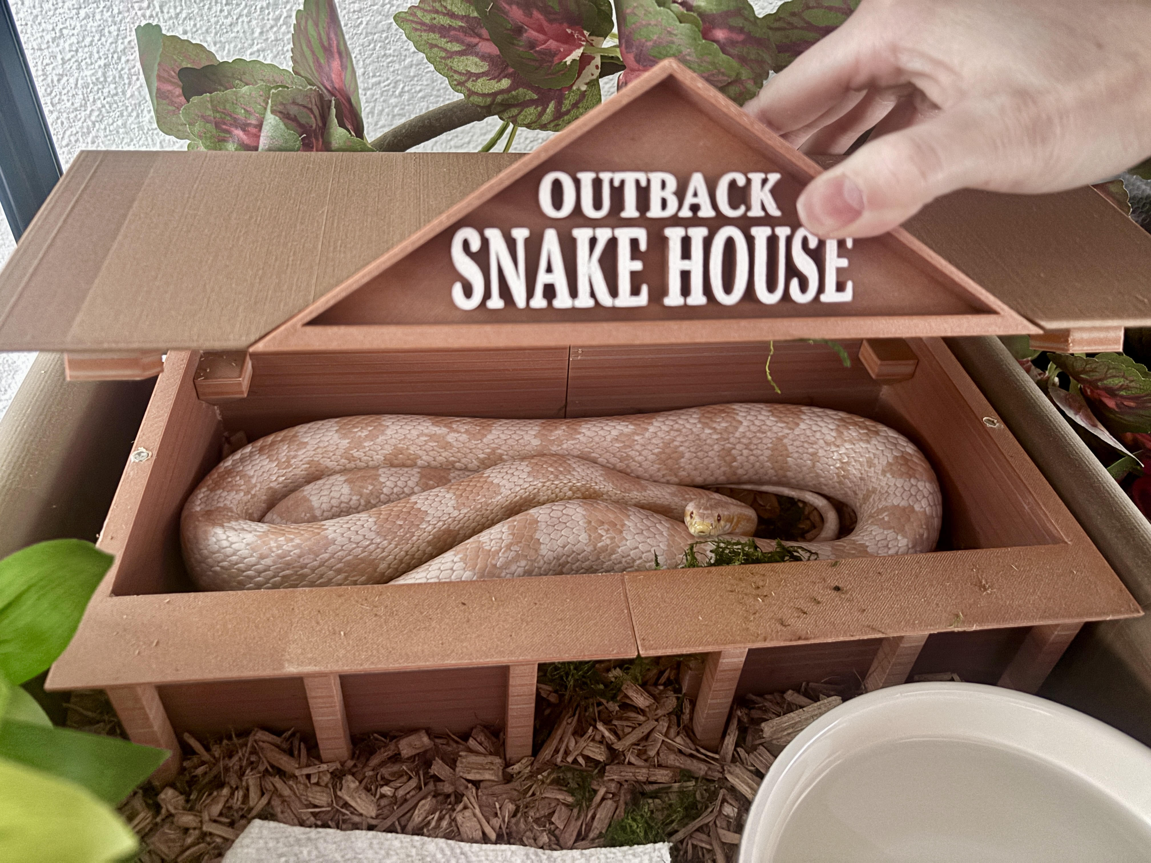 Miniatura 2 do modelo 3D Outback Snake House (Hide)