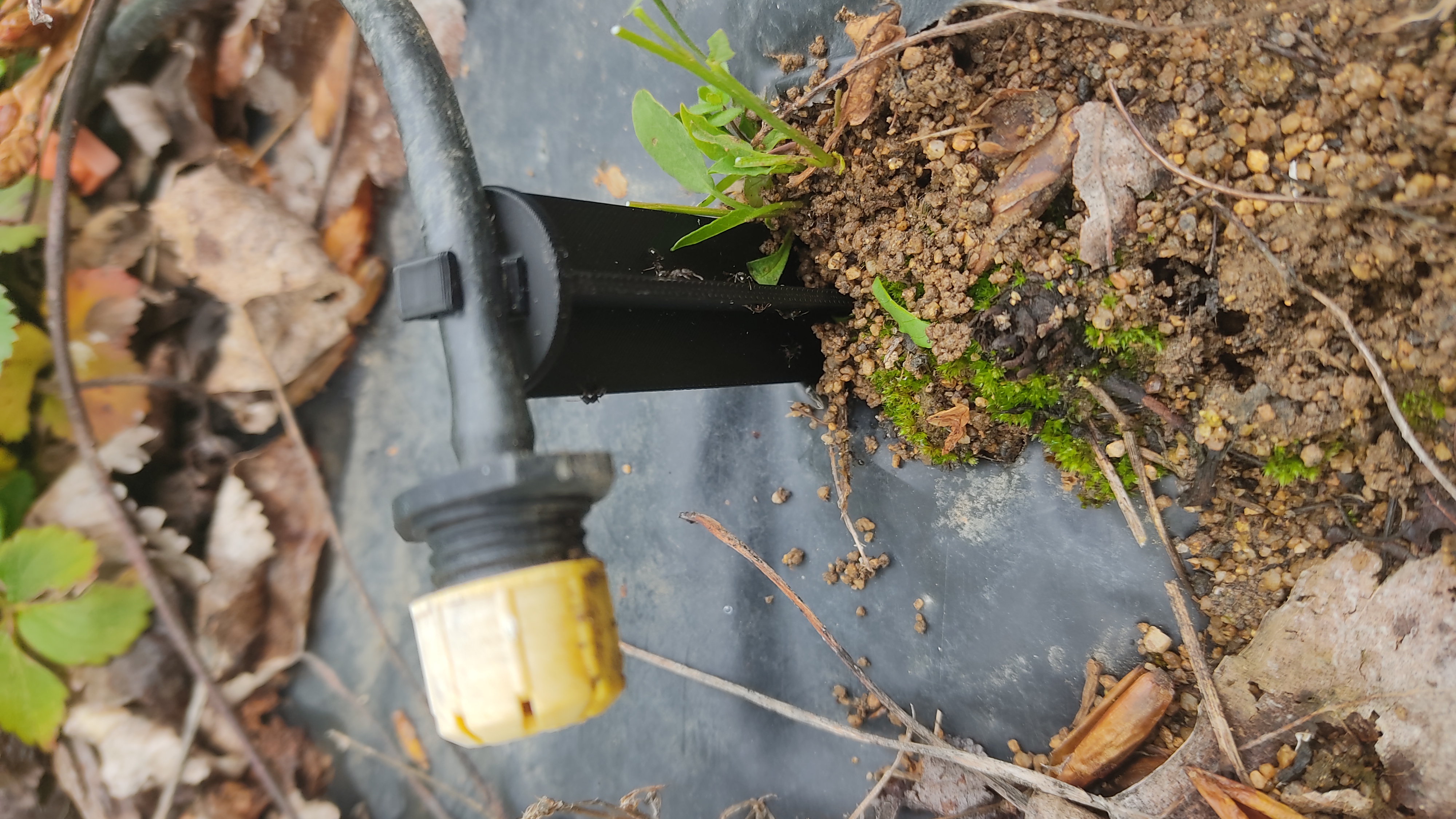 Miniatura 7 do modelo 3D Stake for drip irrigation