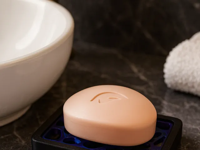 Modular Voronoi Soap Dish