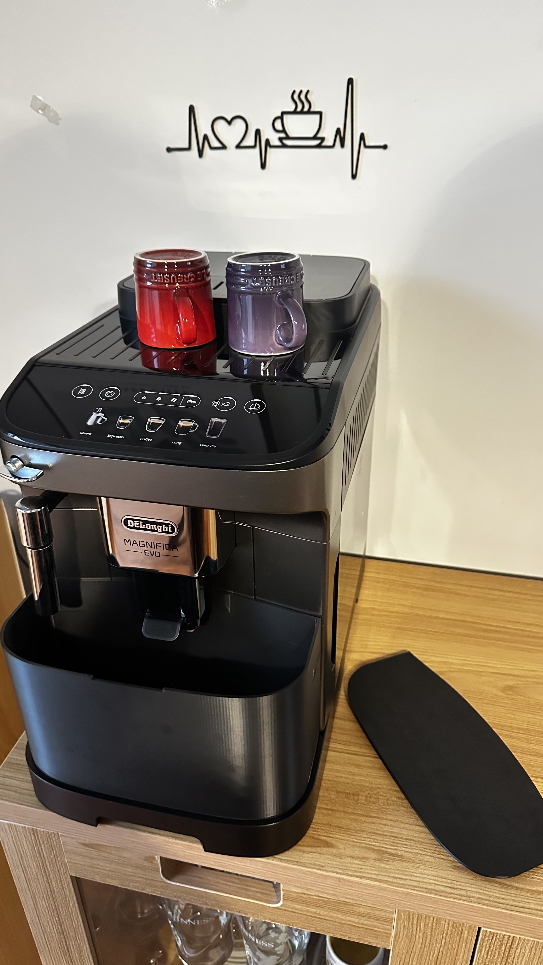 DeLonghi Magnifica Evo descaling/storage container