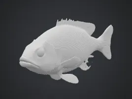 Dumbahh Fish