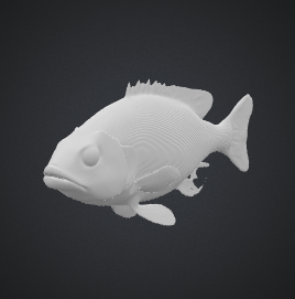 Dumbahh Fish
